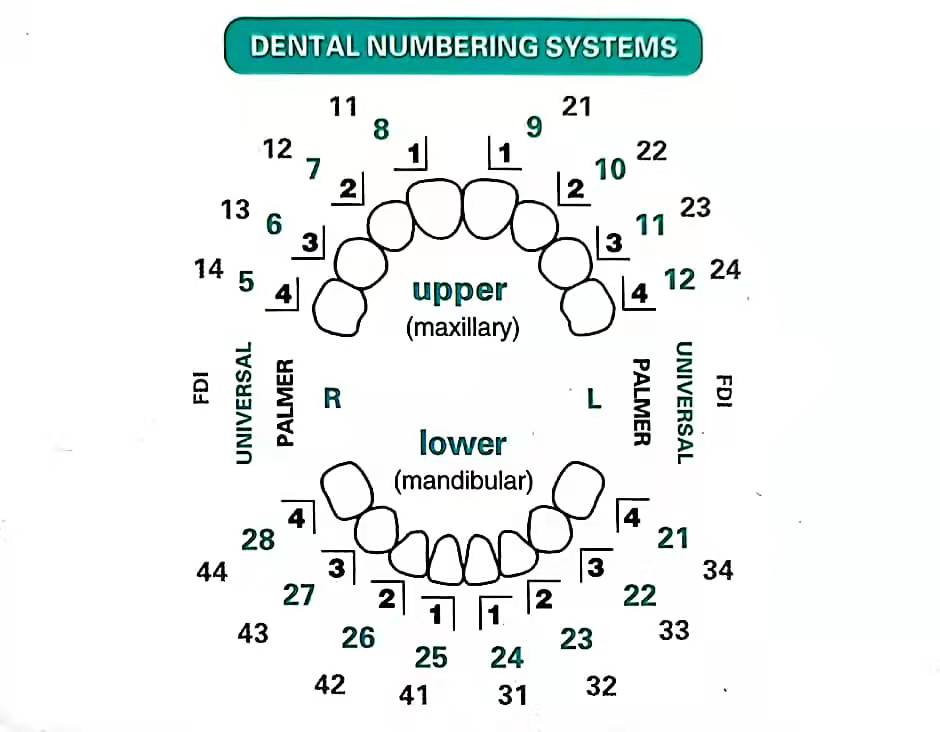 32 sztuk/zestaw zestaw form do – Teeth Whitening Moulds recenzja i cena